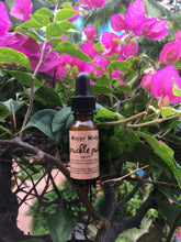 HAPPY HEDGE BOX <br>6 Month Plan